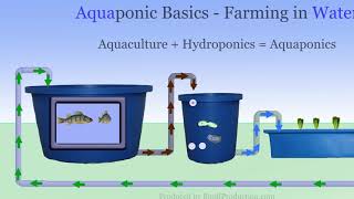 Aquaponic Systems  The Basics of Farming without soil [upl. by Geminius323]