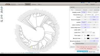 Create phylogenetic trees with clustalw on remote computer amp pscp  puTTy SSH  iTol visualization [upl. by James]