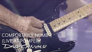 David Gilmour  Comfortably Numb Live At Pompeii [upl. by Earl]