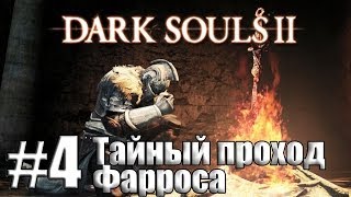 Тайный проход Фарроса Dark Souls 2 4 [upl. by Adelaja]