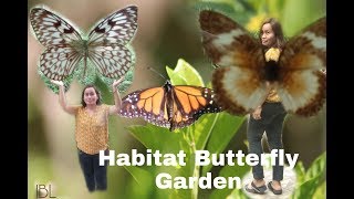 HABITAT BUTTERFLY GARDEN IN BOHOL [upl. by Nolek]