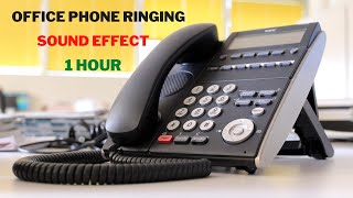 Office Phone Ringtone Sound Effect🎧 Office Phone Ringing Sound Effect 1 Hour [upl. by Clementina]