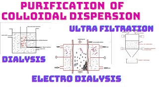 Purification of colloidal dispersionColloidsBPharmDialysisElectro DialysisUltra filtration [upl. by Caren]