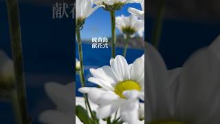 『硫黄島3島クルーズ』献花式💐 [upl. by Rodavlas]