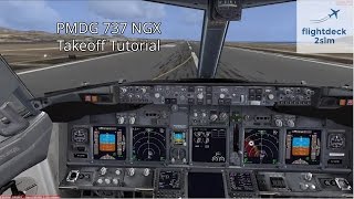 How do you Takeoff a Boeing 737  Real 737 Pilot Tutorial  PMDG 737 [upl. by Nmutua]