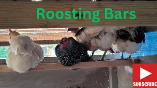 Roosting Bars chickenlife chickenraising chicken Chickenchaos [upl. by Durston]