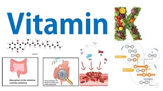 Vitamin K and blood clotting [upl. by Coulter]