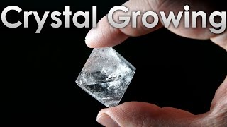 Grow Transparent Single Crystals of Alum salt at Home [upl. by Shamus171]