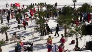 Bad Gastein Palmen auf den Almen 2012mp4 [upl. by Lrak]