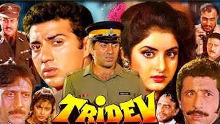 Tridev Full Movie  Sunny Deol  Jackie Shroff  Madhuri Dixit  Naseeruddin S  HD Facts amp Review [upl. by Ydisahc]