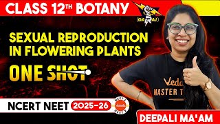 Sexual Reproduction in Flowering Plants Class 12 Biology One Shot  NEET 2025 Botany [upl. by Harpp]