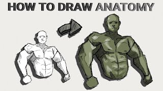 Muscular Anatomy Sketch A Guide for Beginners [upl. by Htbazile]