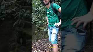 Cachoeira do Tobogã viralvideo youtubeshorts nature [upl. by Ellenrahc]