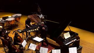 Unsuk Chin  Double Concerto  for Piano Percussion and Ensemble [upl. by Hseham]