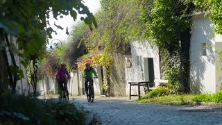 Weinviertler Kellergassen auf dem Fahrrad erkunden [upl. by Niemad444]