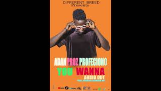 You WannaAdan Proz Profeciono Official Audio [upl. by Kcirednek]