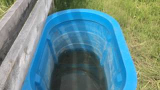 How To Clean A Water Trough [upl. by Mountfort]