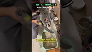 Keep your litter box clean and your home odorfree with these smart tips [upl. by Sokem]