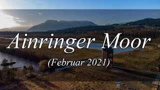 Wanderung am Ainringer Moor Februar 2021 Drone  Drohne [upl. by Deedahs]