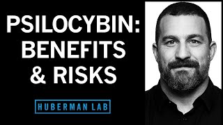 How Psilocybin Can Rewire Our Brain Its Therapeutic Benefits amp Its Risks  Huberman Lab Podcast [upl. by Ahmad]