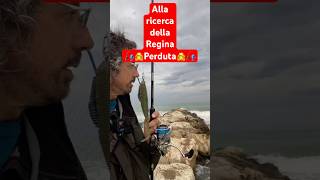 Alla ricerca della regina perduta Pesca Spinning Spigola da riva Adriatico centrale [upl. by Nemrak]