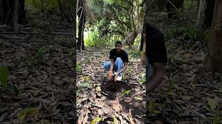 Survival bushcraft skills 🫡 shortsvideo bushcraft lifehack [upl. by Ettennig]