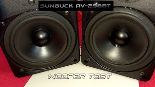 Sunbuck AV298BT  Woofer test [upl. by Enirehtac]