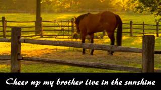 Farther Along  Brad Paisley  Lyrics [upl. by Mussman]