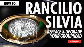 How To Easily Replace amp Upgrade Your Group Head  Rancilio Silvia [upl. by Acina729]