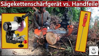 Sägekettenschärfgerät vs Handfeile  Wir machen den Test mit der Motorsäge [upl. by Aitan]