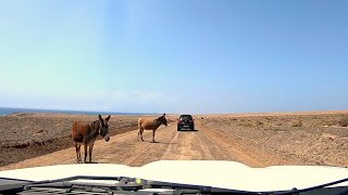 Fuerteventura Auf nach Cofete  Tour durch die Steinwüste [upl. by Asiil]