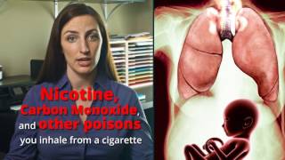 How Smoking Affects Your Baby [upl. by Nichols881]