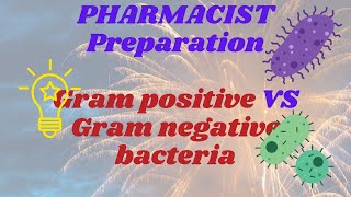 Gram positive VS Negative bacteria I MHSRB Pharmacist I Microbiology for Pharmacist exam I Pharmacy [upl. by Buchheim]