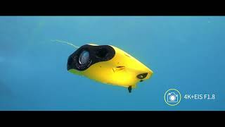 CHASING GLADIUS MINI S  UNDERWATER DRONE [upl. by Yorgerg]