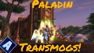 Paladin Transmogs  WoW RP Paladin Transmogs [upl. by Shuler]