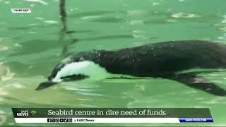 Seabird and Penguin Rehabilitation Centre in dire need of funds [upl. by Sedecram]