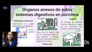 Anatomia y Fisiologia de Monogastricos [upl. by Gal]