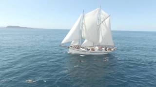 Windborne Sailing Charters New Zealand [upl. by Scrivens399]