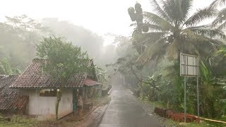 Walk in Heavy Rain and Thunderstorms in Rural Indonesia  ASMR Nature Sounds for Sleep [upl. by Hedy]