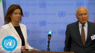 Slovenia amp League of Arab States on the Middle East  Security Council Stakeout  United Nations [upl. by Alenson]