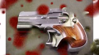 American Derringer Lady Derringer 357 Magnum Pistol [upl. by Kinimod825]