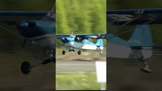 1947 PIPER PA12 SUPER CRUISER N3302M landing airstrip 2024 alaska aopa flying airplane [upl. by Ydniw]