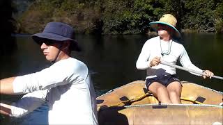 Cairns Mulgrave River Fishing Wooroonooran National Park from Kearney Falls  March 2017 [upl. by Odilo290]