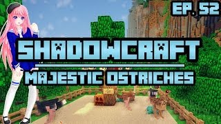 Majestic Ostriches  ShadowCraft  Ep 52 [upl. by Ginger]