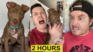 2 HOURS Robby and Penny Funny TikTok Videos 2022  New Robby and Penny Funny TikTok Compilation [upl. by Alidia779]