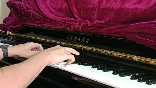 Schumann Kinderszenen Op15 No1 [upl. by Nosnej346]