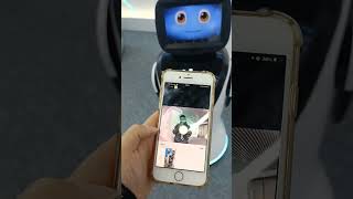 PadBot Robot P3 Video Call  One Way and Two Way Call Demo [upl. by Nesiaj]