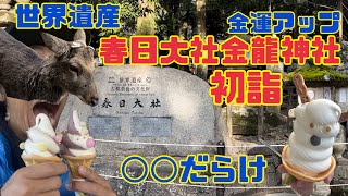 【金運アップ】世界遺産の春日大社金龍神社へ初詣に行ったら〇〇だらけ [upl. by Mcmillan]