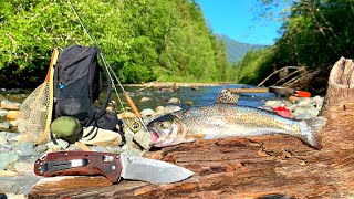 WILD TROUT Fishing in MOUNTAIN RIVER Catch Cook Camp [upl. by Devi]