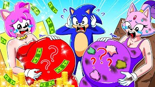 Which Baby is Sonics Rich or Poor  Funny Story  Sonic The Hedgehog 2 Animation [upl. by Hedy]